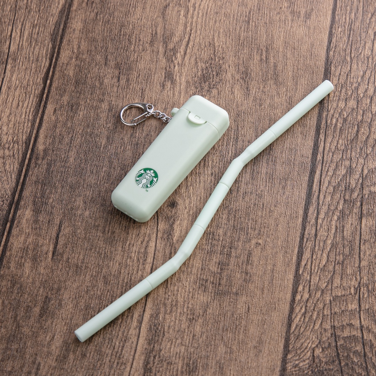 Mint Foldable Reusable Straw with Case
