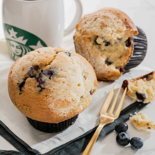 Blueberry Muffin 